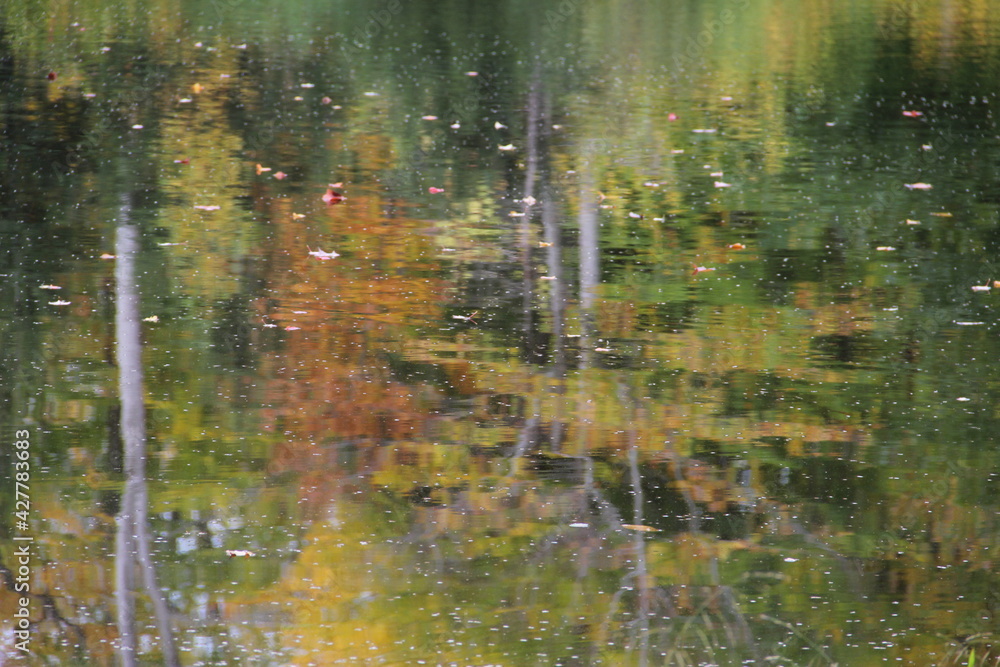 Colorful Vermont Autumn Foliage reflected on a pond in the woods Colorful Vermont Autumn Foliage reflected on a pond in the woods
