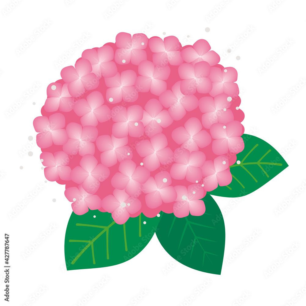 梅雨の季節の紫陽花のイラスト Stock Vector Adobe Stock