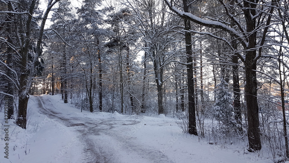 Naklejka premium Winter