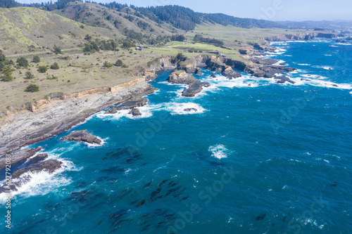 The Pacific Ocean meets the rugged, rocky shore of Northern California in Mendocino on a beautiful day. This region is known for its scenic mountains, forests, and coastline.