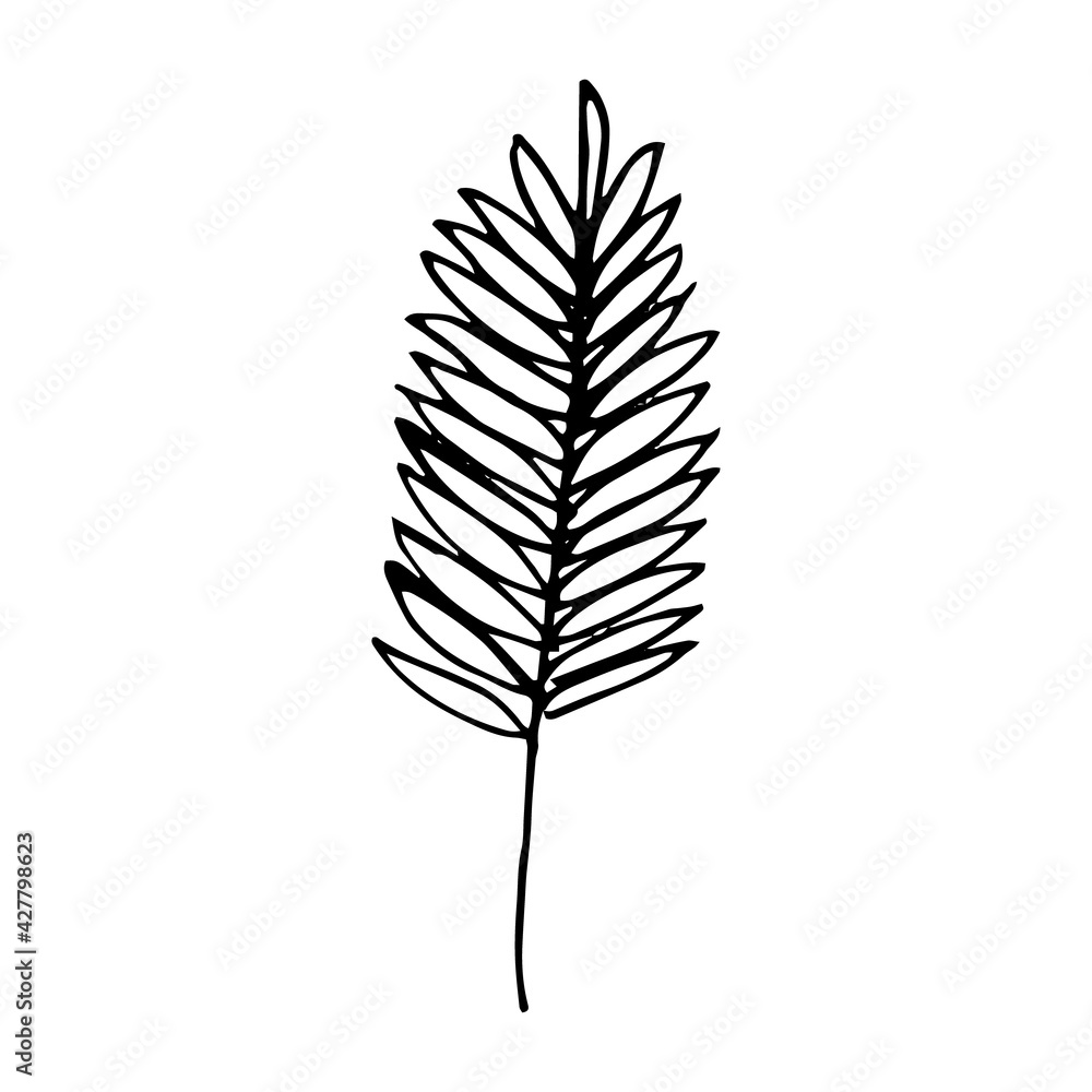 spike icon. hand drawn doodle style. vector, minimalism, monochrome, sketch. grain, harvest.