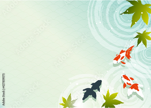 青紅葉と金魚の背景素材_夏のイメージ