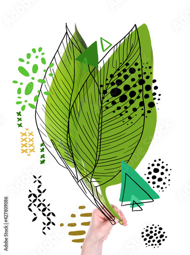 Female hand with green bana...