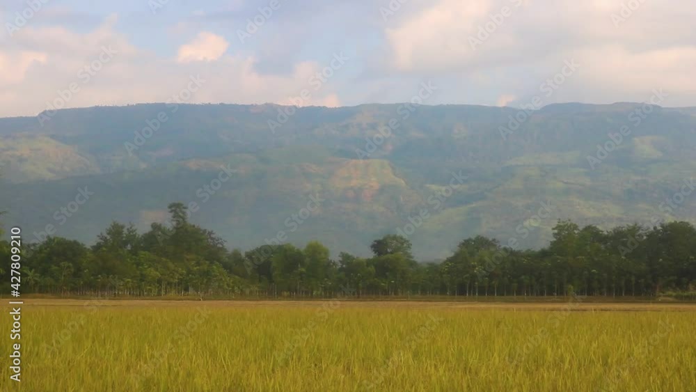 Timelapse of vast grassland with forest and majestic mountain valley in the background. Clouds moving, man roaming so fast. Sylhet, Bangladesh. Wide view Timelapse of vast grassland with forest and majestic mountain valley in the background. Clouds moving, man roaming so fast. Sylhet, Bangladesh. Wide view