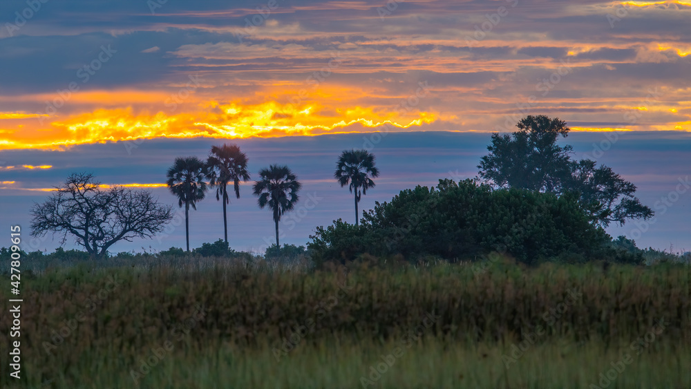 Sunrise over the Okavango delta in Botswana Africa