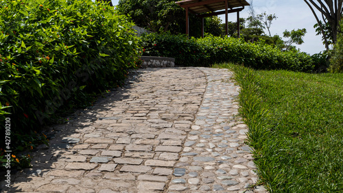 Stone path with green gardens