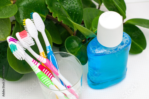 five toothbrushes in a glass cup and a mouthwash on the dressing table against the background of a houseplant