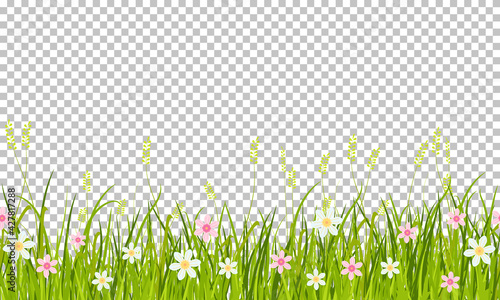 Spring grass and flowers border, Easter greeting card decoration element, illustration isolated on transparent background