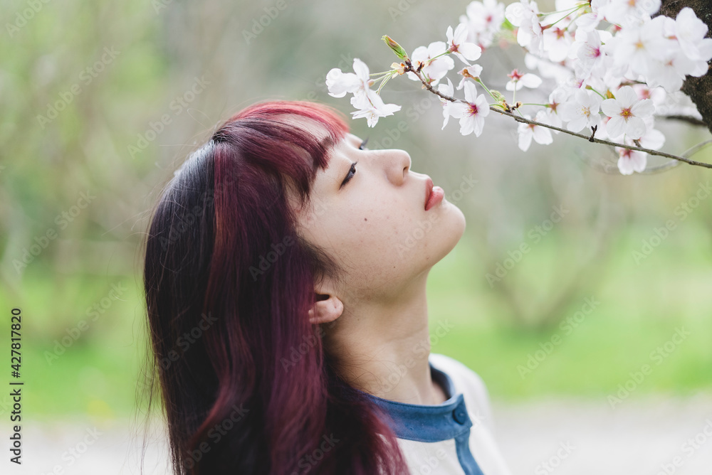 桜と女性 桜と女性