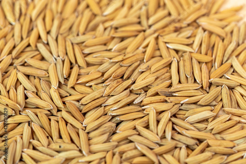 Foto Top view  jasmine rice and paddy seed texture close up, White Rice grain Paddy texture on wooden plate