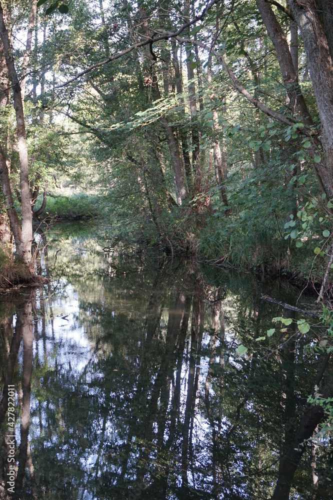 Rund um den Schweriner See / Bad Kleinen Rund um den Schweriner See / Bad Kleinen