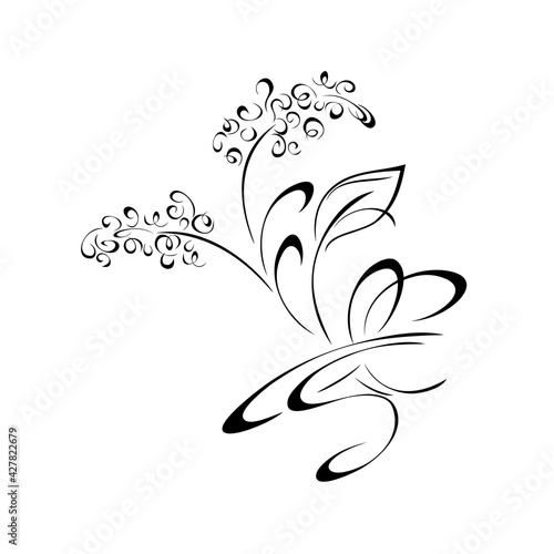 ornament 1695. decorative twig with small flowers, leaves and curls in black lines on white background