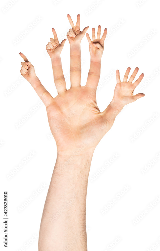 Male open hand with fingers gesturing one to five, isolated Male open hand with fingers gesturing one to five, isolated