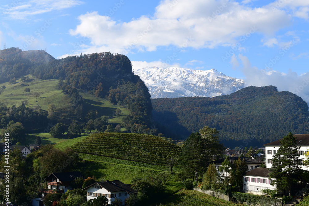 swiss alpine village in summer