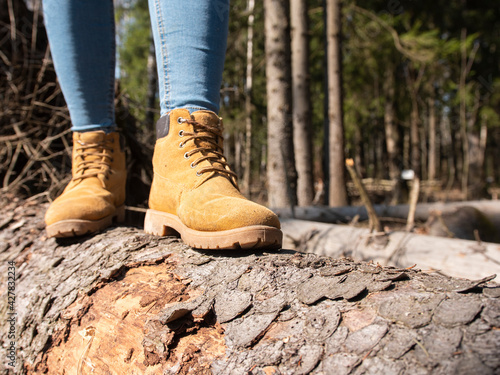 heavy boots for lumberjacks on a woman's leg. Women's shoes are yellow. In the forest on a fallen tree trunk © Вячеслав Баннов