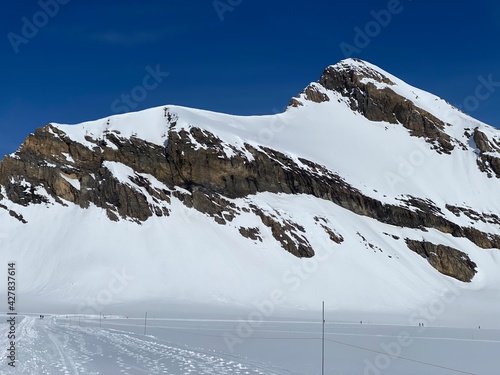 Snowy alpine mountain peak Oldenhorn (Oldehore or Becca d'Audon) located in a mountain massif Les Diablerets (Rochers or Scex de Champ) - Canton of Vaud, Switzerland (Suisse) / Glacier 3000 photo