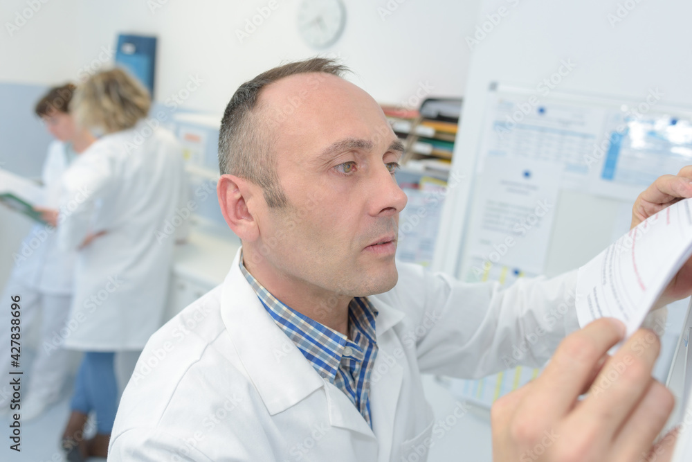 doctor reading paperwork on wall doctor reading paperwork on wall