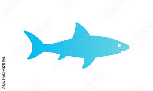 Dangerous white shark vector illustration.