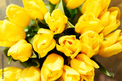 A bouquet of yellow tulips close-up. Beautiful yellow flowers with green leaves. Background with flowers. Flowers for the holiday. Many buds of yellow tulips.