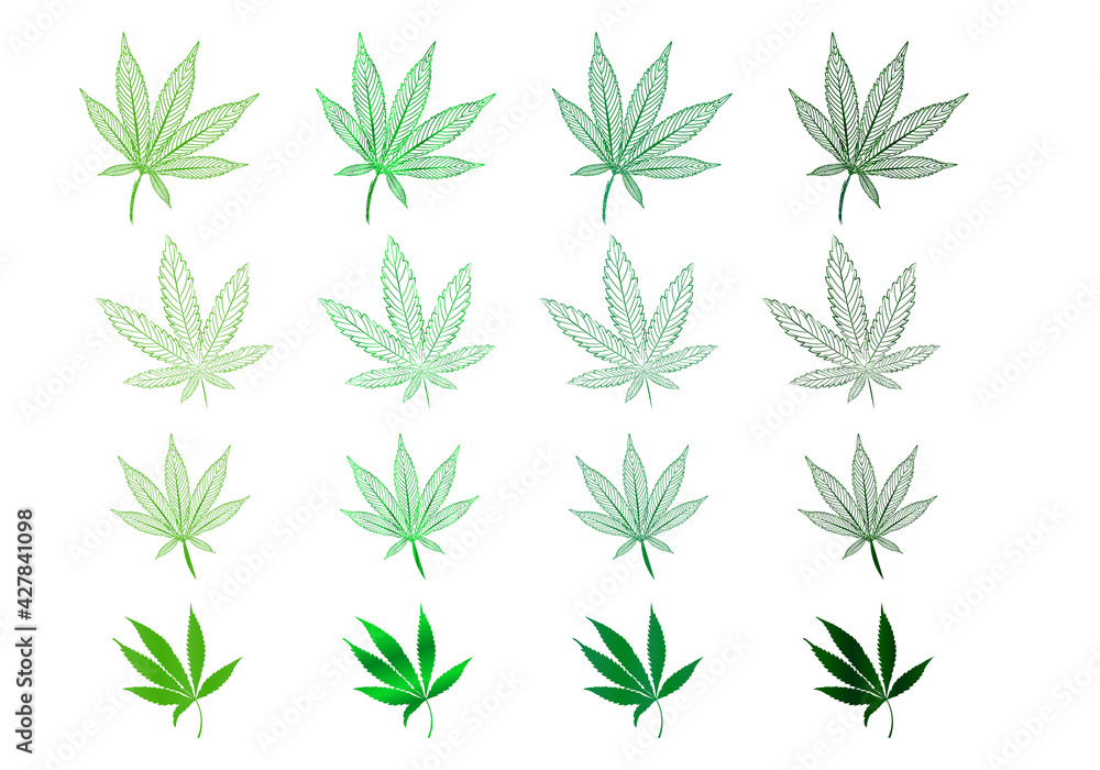 Vector Isolated Set of Hand drawn Weed Leaves, Marijuana contours leaves, Cannabis in Green tones for Logo Design, Icons, Prints, Banners or Packaging design.