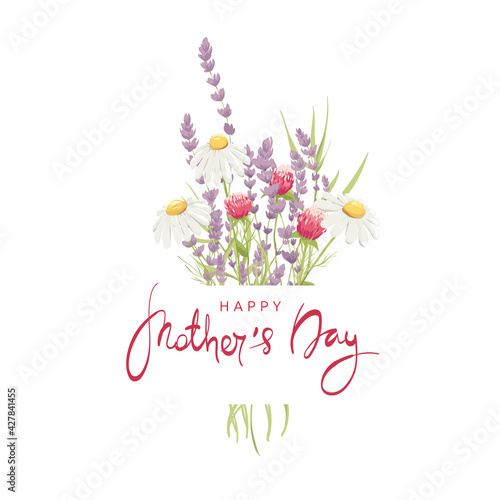 Mothers Day cards. Vector design element, wreaths of lavender and chamomile, medicinal herbs.