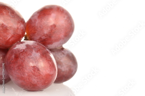 One fresh organic, juicy, ripe, sweet bunch of grapes, macro, on a white background.