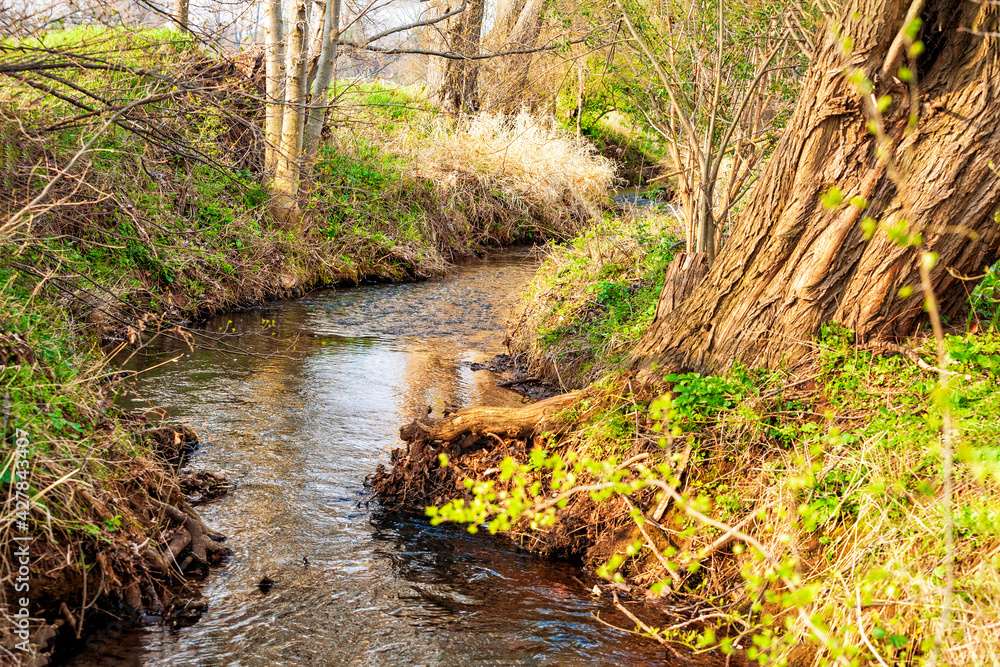 Am Rothbach bei Schwerfen in der Zülpicher Börde