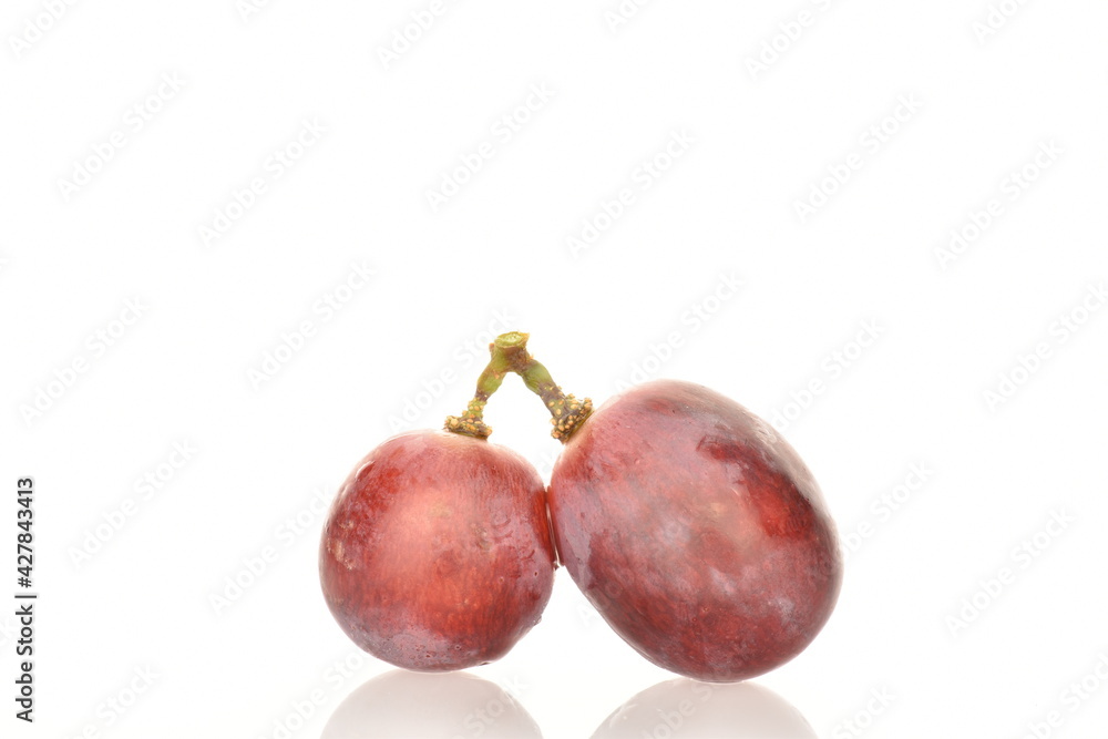 Three, fresh organic, juicy, ripe, sweet grapes, close-up, on a white background.