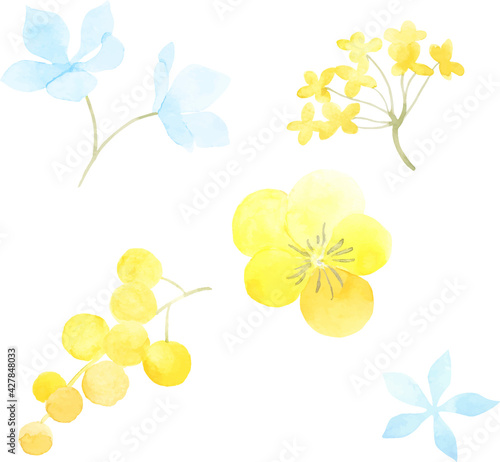 水彩で描いた花の素材