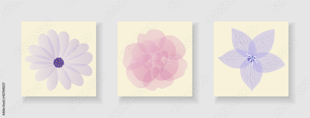 Set of covers with flat cartoon floral vector, pastel natural plants. Webdesign screensavers with chamomile and rose. Set of covers with flat cartoon floral vector, pastel natural plants. Webdesign screensavers with chamomile and rose.