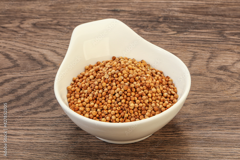 Coriander seeds in the bowl Coriander seeds in the bowl