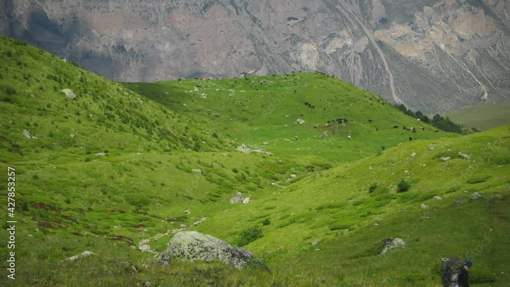 Tourists hike through the valley. Valley near Bulungu village. Caucasus, Russia. Tourists hike through the valley. Valley near Bulungu village. Caucasus, Russia.