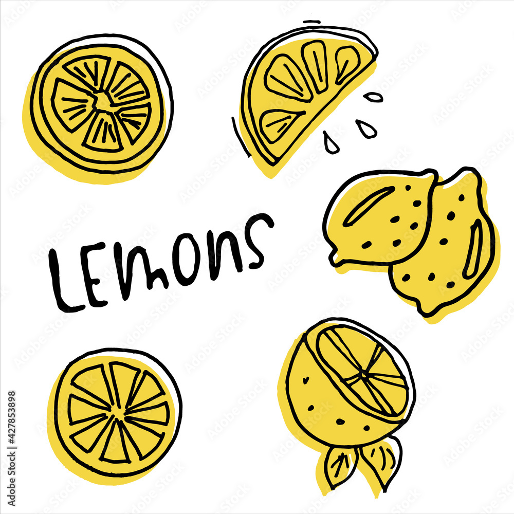 Vector hand drawn illustrations of lemons. Set of lemon slices.
