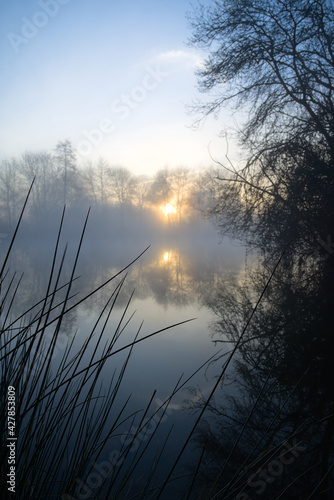 Brume sur le Loir au lever du soleil avec présence de végétation au premier plan