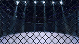 Cage fight arena behind the chain link fence. Interior view of fighting arena with fans and shining spotlights. Digital sport 3D illustration.