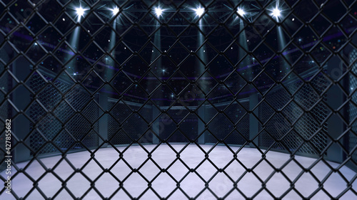 Obraz na płótnie Cage fight arena behind the chain link fence