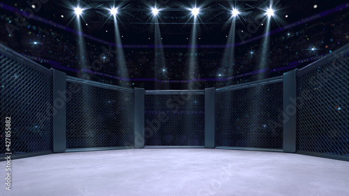 In the fighting cage. Interior view of sport arena with fans and shining spotlights. Digital sport 3D illustration.