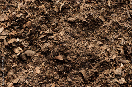 Soil texture background, Fertile soil for planting. © 994yellow