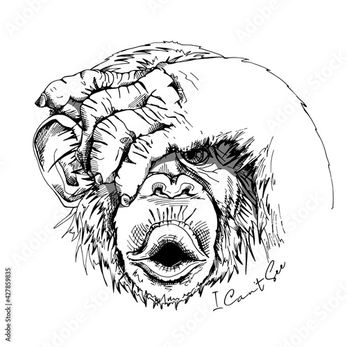 Portrait of a Funny Monkey. I can't see - lettering quote. Humor card, t-shirt composition, hand drawn style print. Vector black and white illustration.