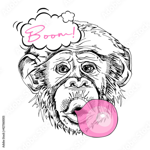 Portrait of a Funny Monkey with a pink bubble gum. Boom - lettering quote. Humor card, t-shirt composition, hand drawn style print. Vector illustration.