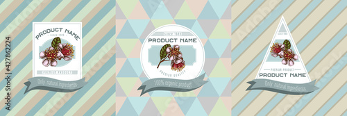 Three colored labels with illustration of feijoa flowers