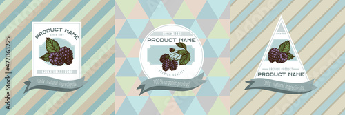 Three colored labels with illustration of blackberry