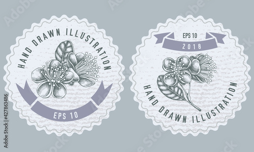 Monochrome labels design with illustration of feijoa flowers