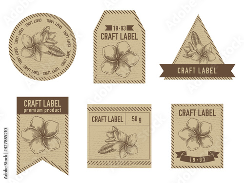 Craft labels vintage design with illustration of plumeria