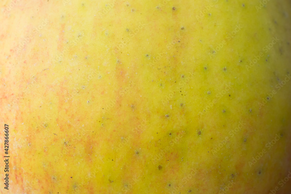 red and yellow apple skin with visible details