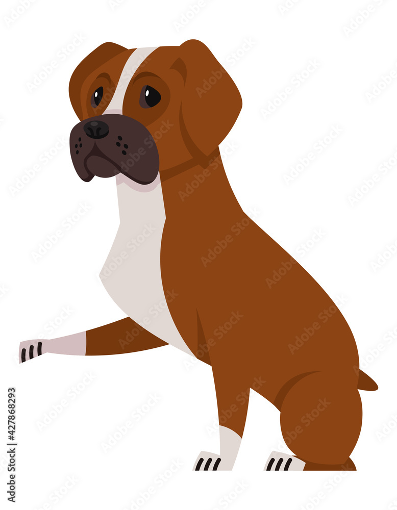 Fototapeta premium Boxer dog giving paw. Beautiful pet in cartoon style.