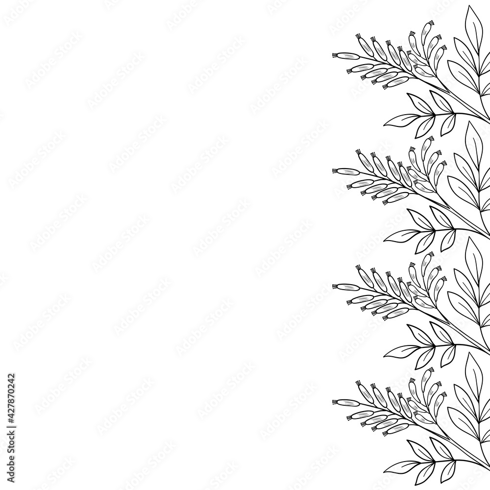 Obraz premium bitter-wood, frame, border dd ww herb isol