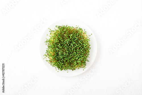 Raw microgreen alfalfa sprouts in a plate on a white concrete background, flat lay.