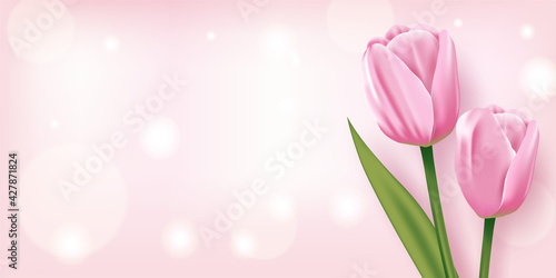 Beautiful Pink tulips on a Pink Background, Vector © rexandpan