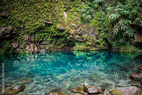 Selective focus on Poço Azul lake with vegetation, ferns and moss reflected in the transparent water, São Miguel - Azores PORTUGAL